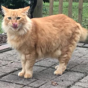 Meet your Posher, Hannah